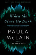 When the stars go dark: a novel