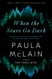 When the stars go dark: a novel